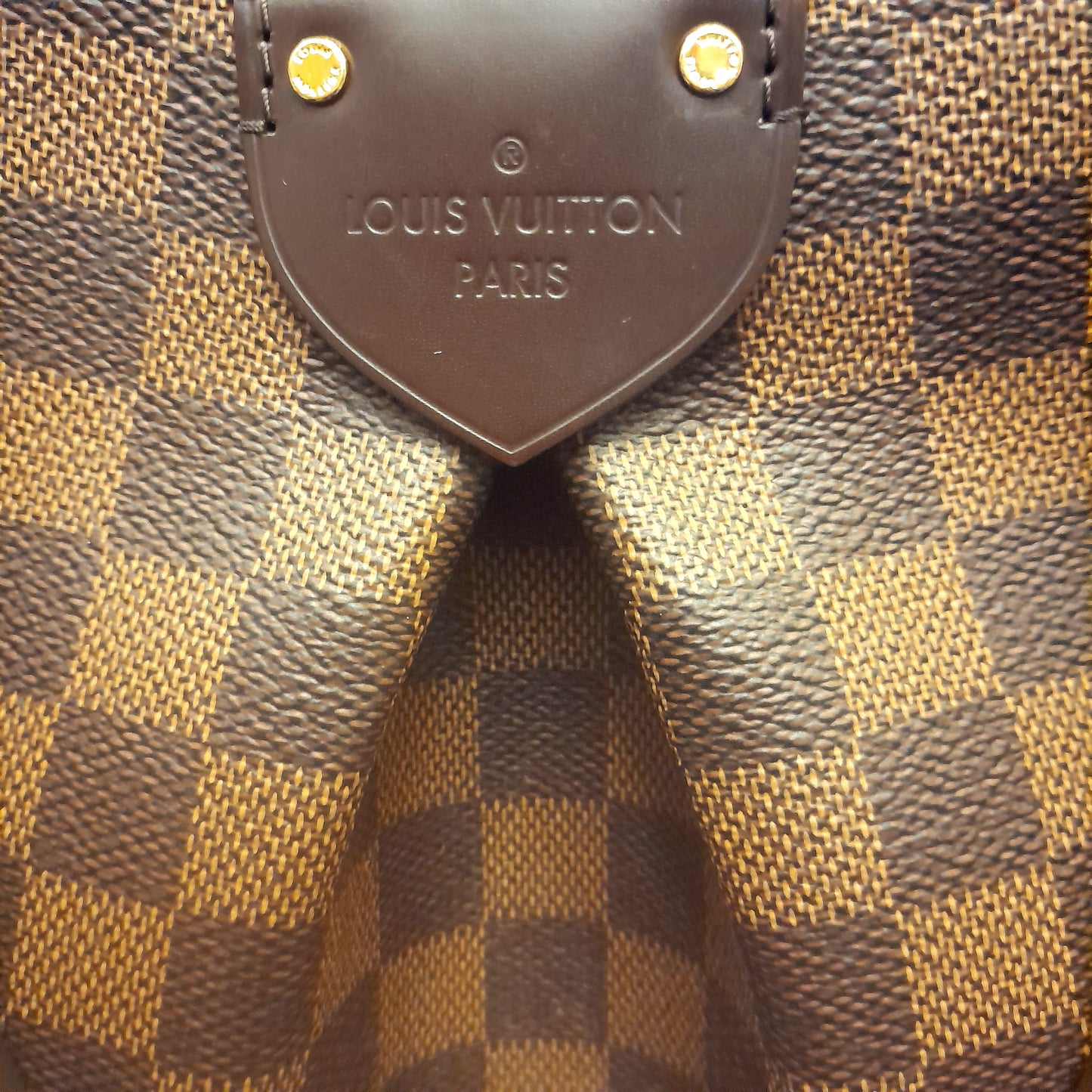 Borsa Louis Vuitton