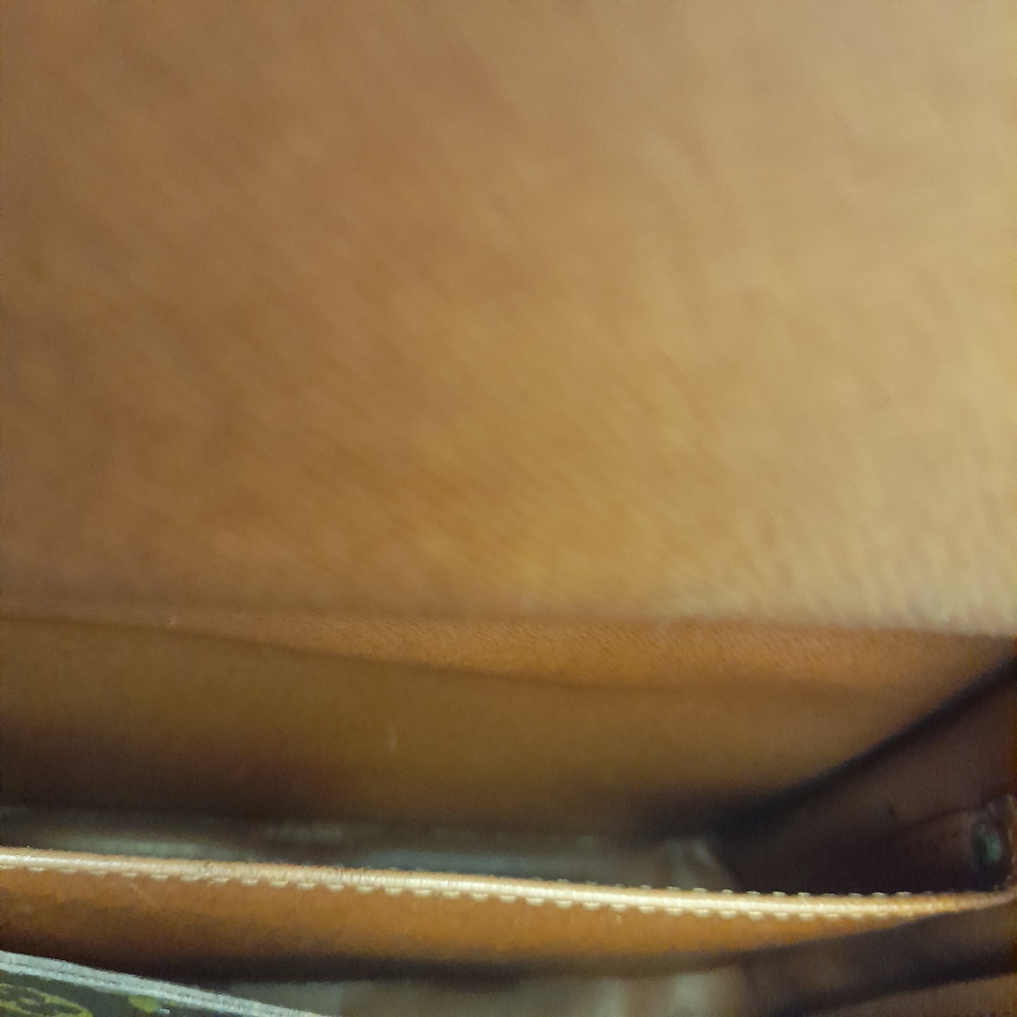 Borsa Louis Vuitton