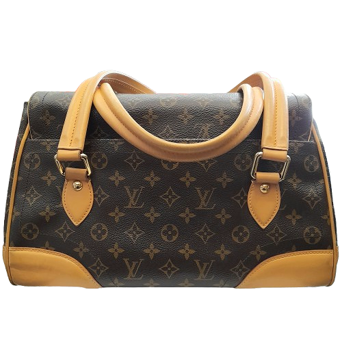 Borsa Louis Vuitton
