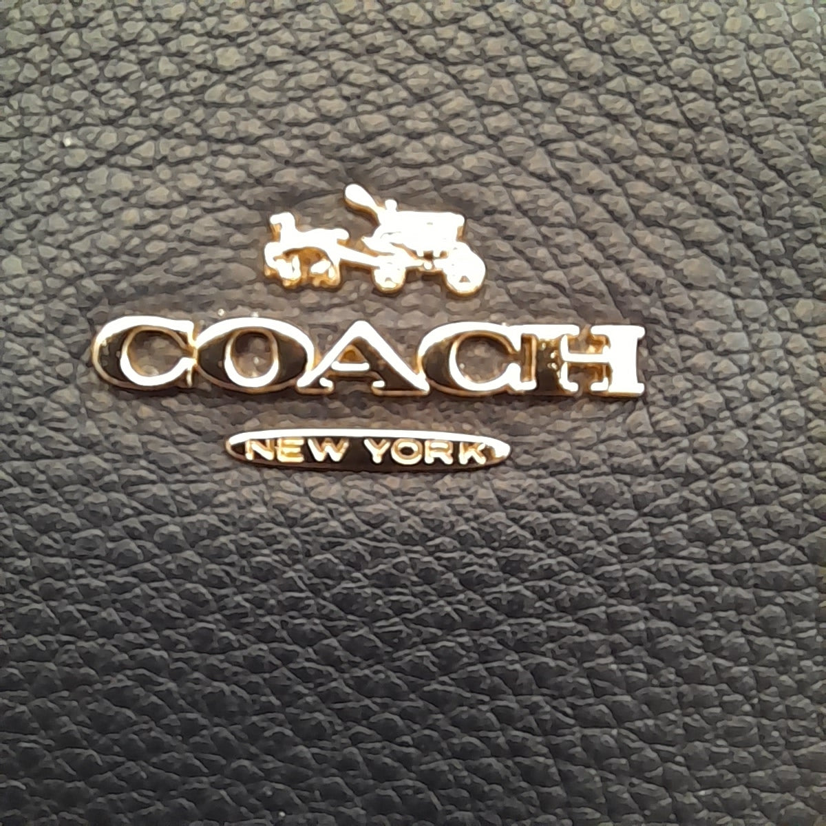 Borsa Coach New York