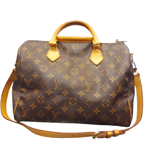 Borsa Louis Vuitton