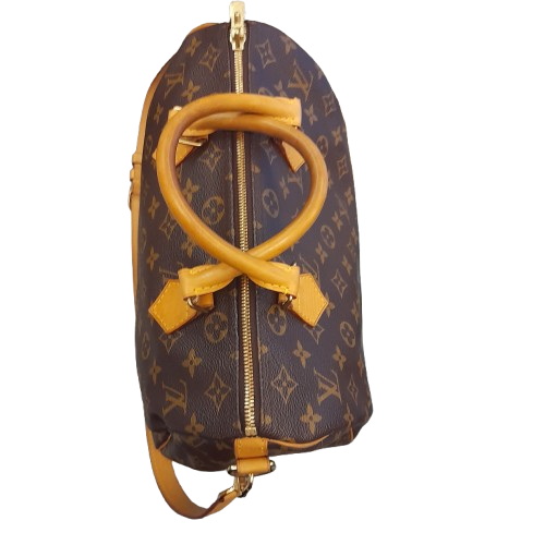 Borsa Louis Vuitton