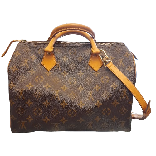 Borsa Louis Vuitton