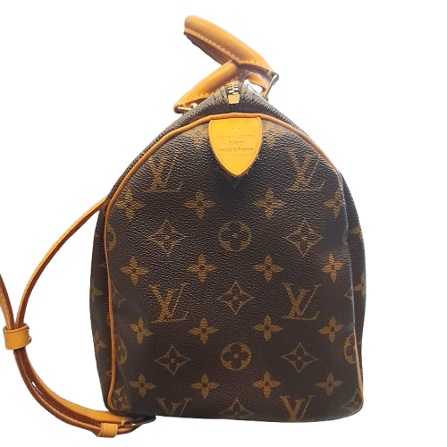 Borsa Louis Vuitton