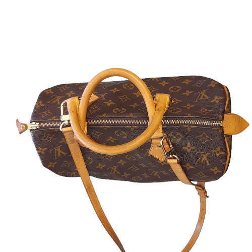 Borsa Louis Vuitton