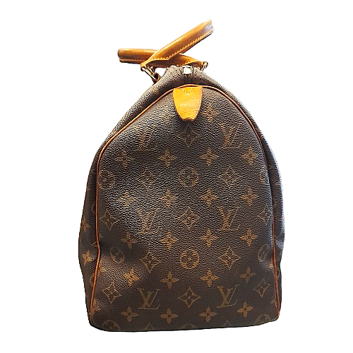 Borsa Louis Vuitton